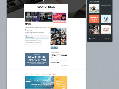 如何选择一款适合你的WordPress主题